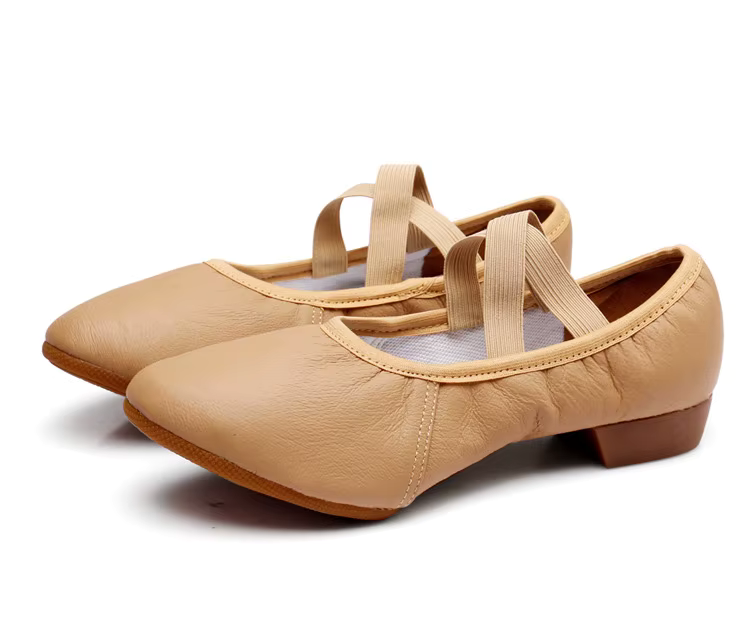 Soft Supple Leather Split Sole Practice Pole Dance Shoes