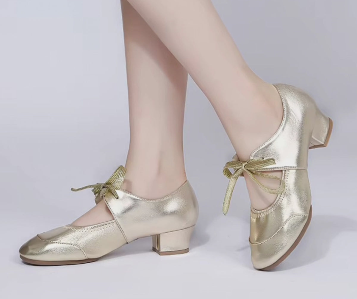 Flexible Practice Dance Shoes Gold or Silver Large Sizes